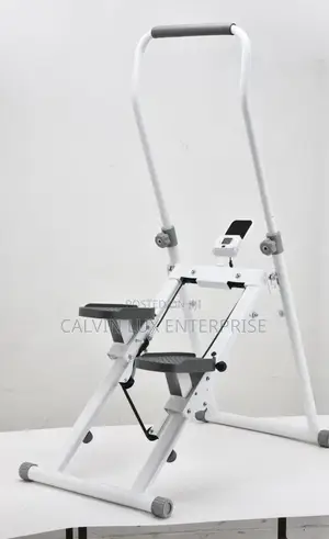 Mountain Gym Fitness Stepper