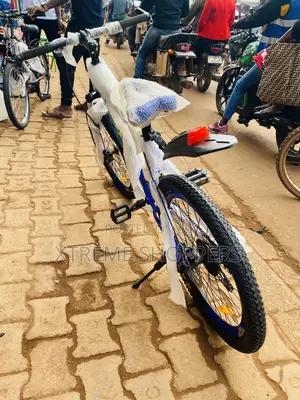 Starlink -Ceane Type Banch/Bike Size 24” -