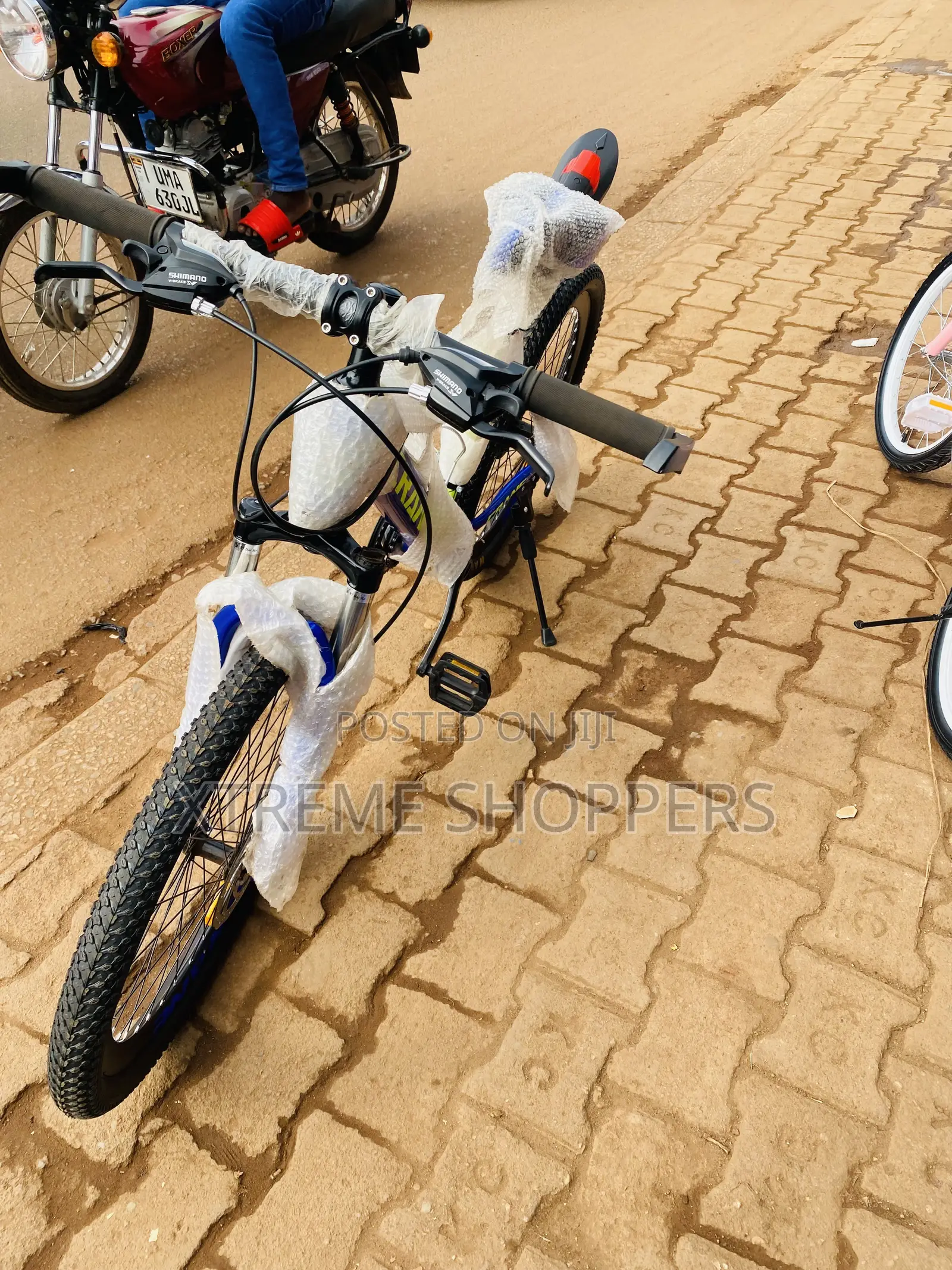 Starlink -Ceane Type Banch/Bike Size 24” -