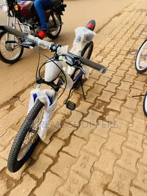 Starlink -Ceane Type Banch/Bike Size 24” -