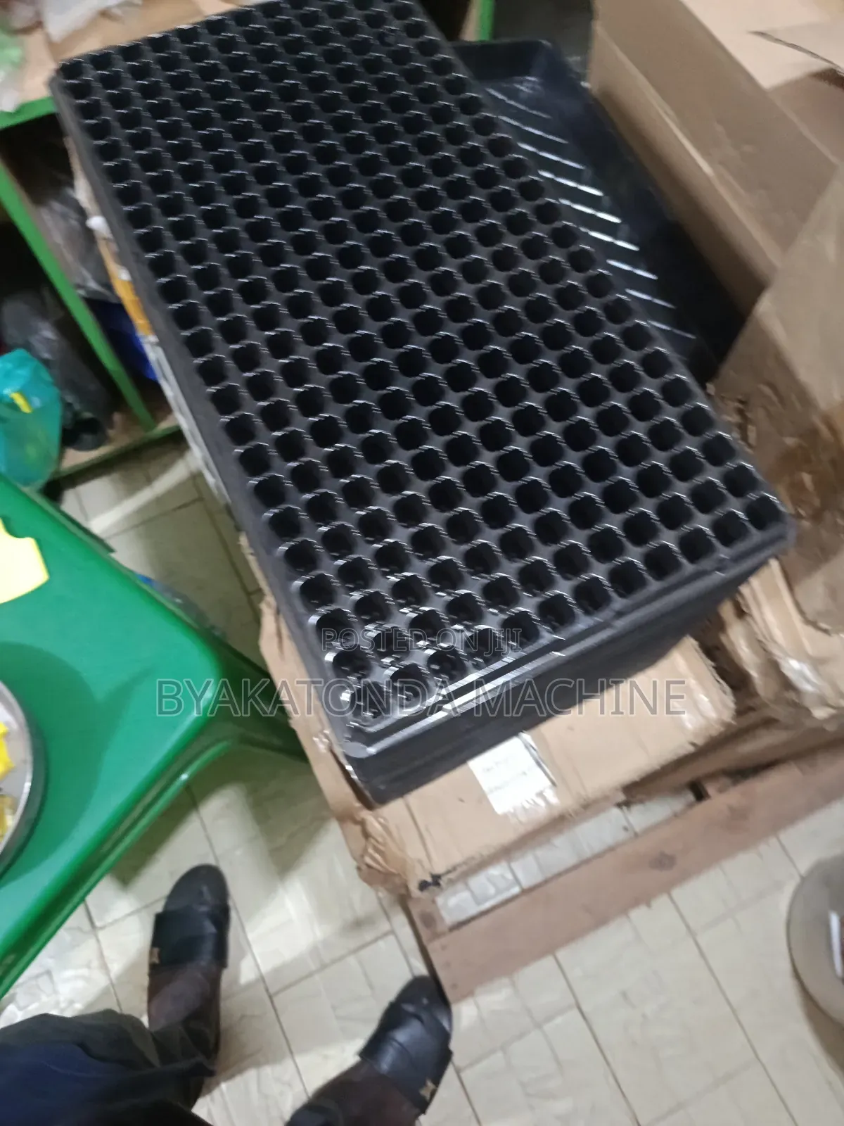 Seed Trays