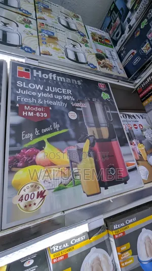 Hoffman Electric Slow Juicer