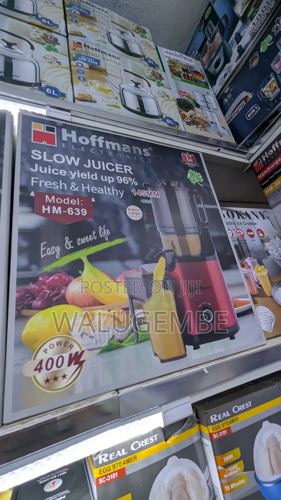 Hoffman Electric Slow Juicer