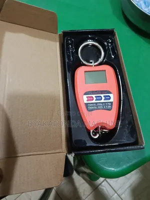 Mini Crane Scale