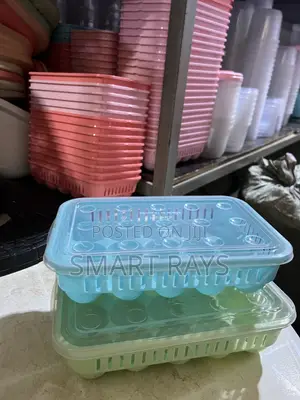 Plastic Egg Trays