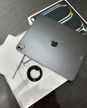 Apple iPad Pro 13 (2024) 256 GB Gray