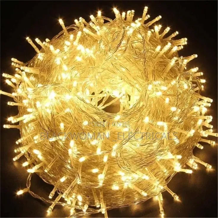50 Meter RGB or Warm Decoration Lights