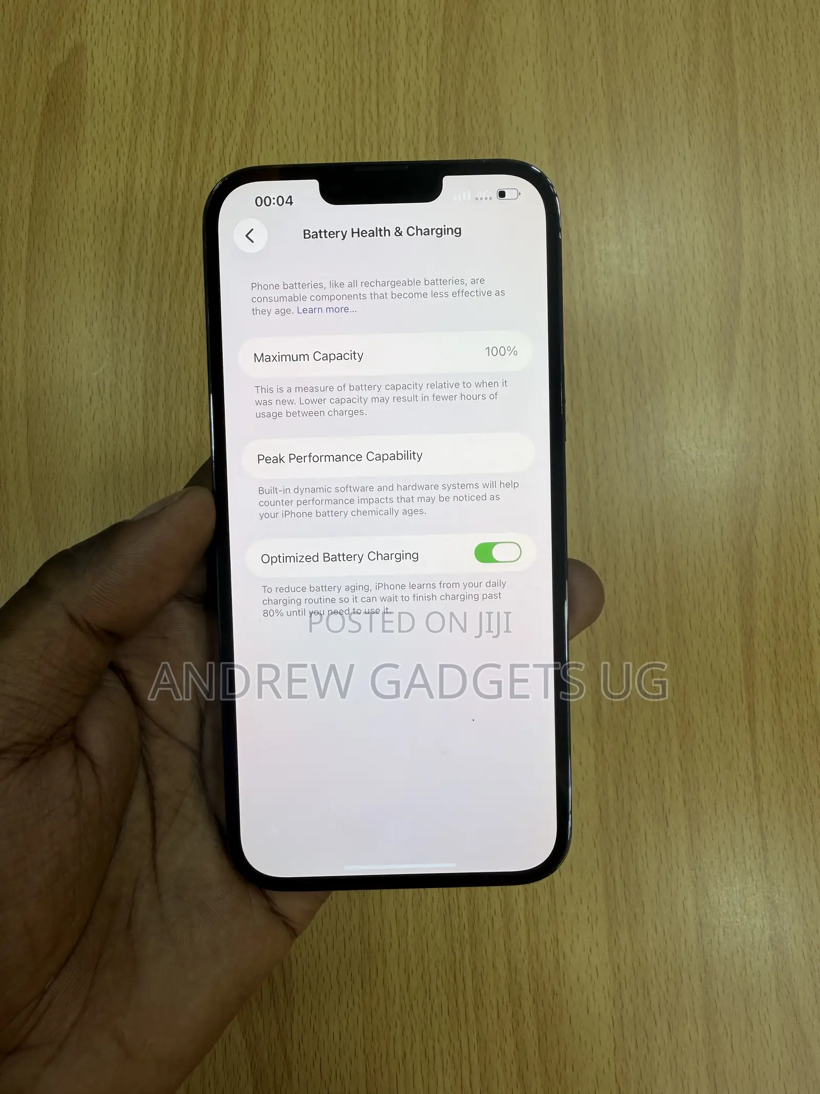 Apple iPhone 13 Pro Max 256 GB Green