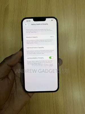 Apple iPhone 13 Pro Max 256 GB Green