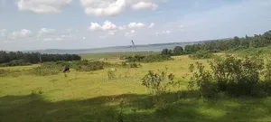 Half Acre Lake View Entebbe Buwaya at 100m Private Milo Title Negotiab