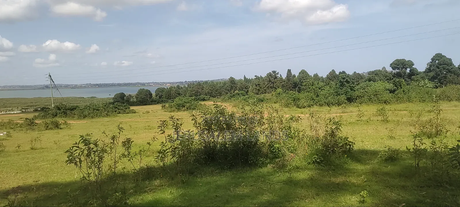 Half Acre Lake View Entebbe Buwaya at 100m Private Milo Title Negotiab
