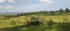 Half Acre Lake View Entebbe Buwaya at 100m Private Milo Title Negotiab