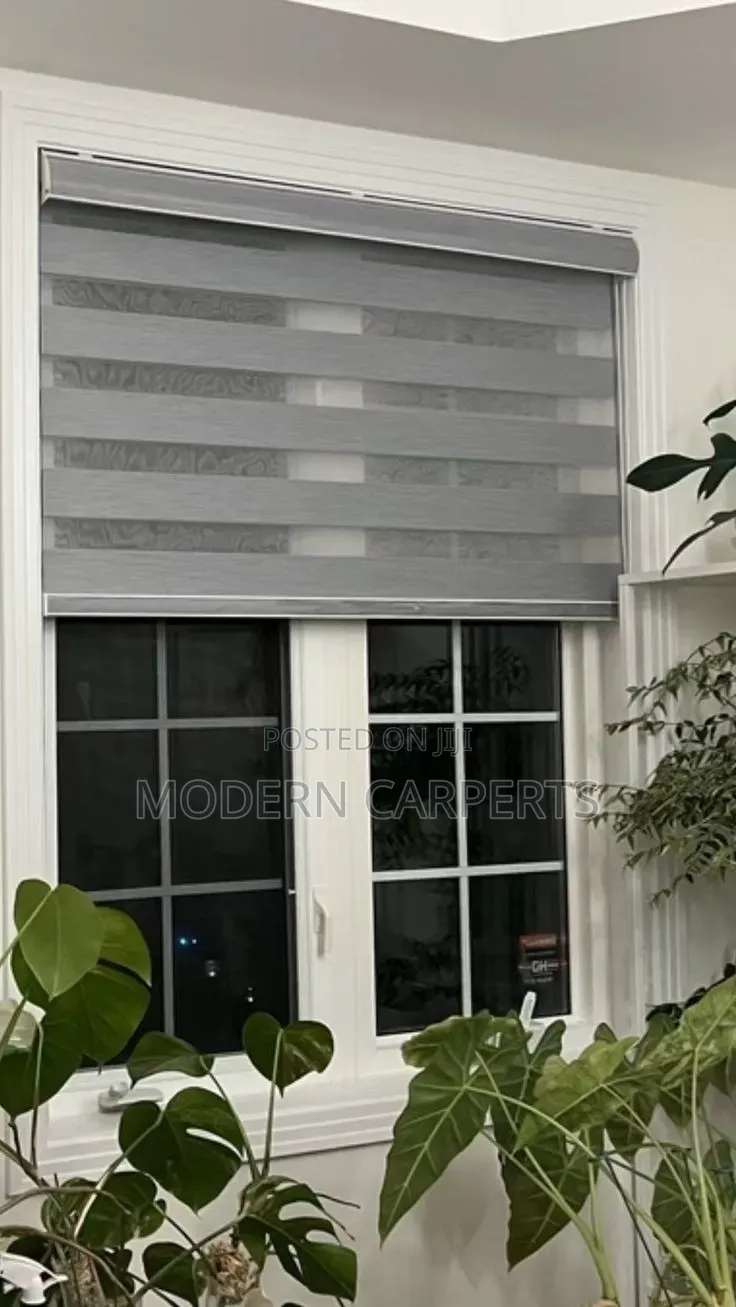 Window Zebra Blinds