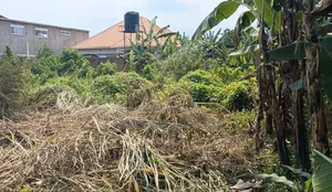 Matuga 2km FRM Tamaca From Kampala to Plot 14km Price 45m Size 140x100