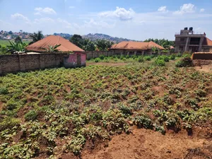 Buloba Nsangi Rd (Manja) 3plots 100*50 Sold at Once