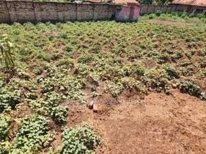 Buloba Nsangi Rd (Manja) 3plots 100*50 Sold at Once