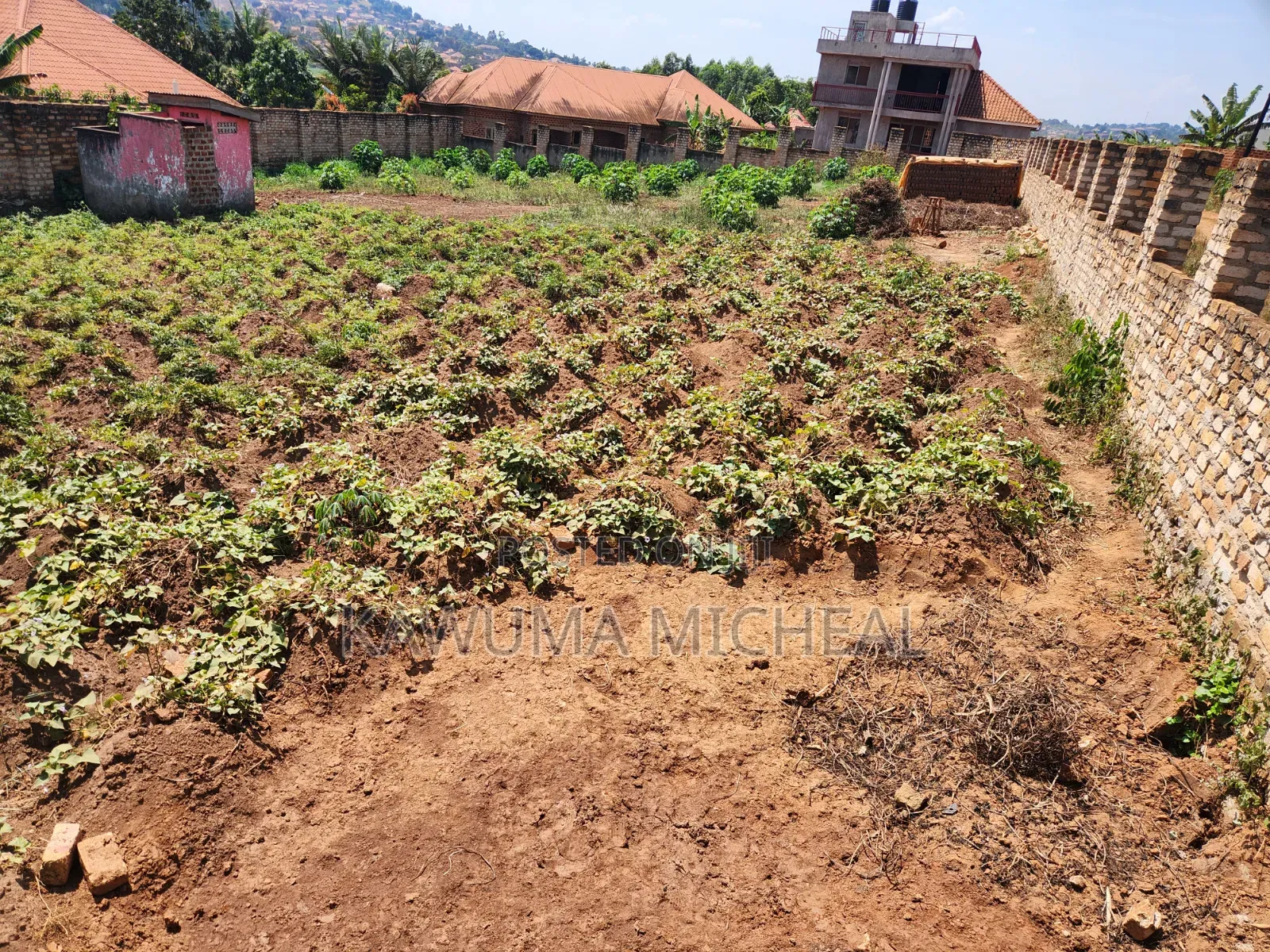 Buloba Nsangi Rd (Manja) 3plots 100*50 Sold at Once