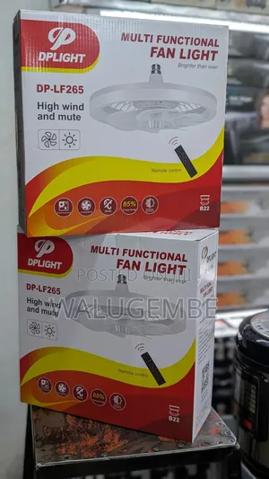 Electric Fan Light