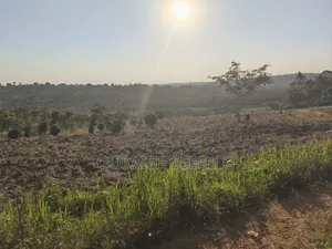 Piece of Plot in a Prime Location in Katale Busawula Seguku Wakiso
