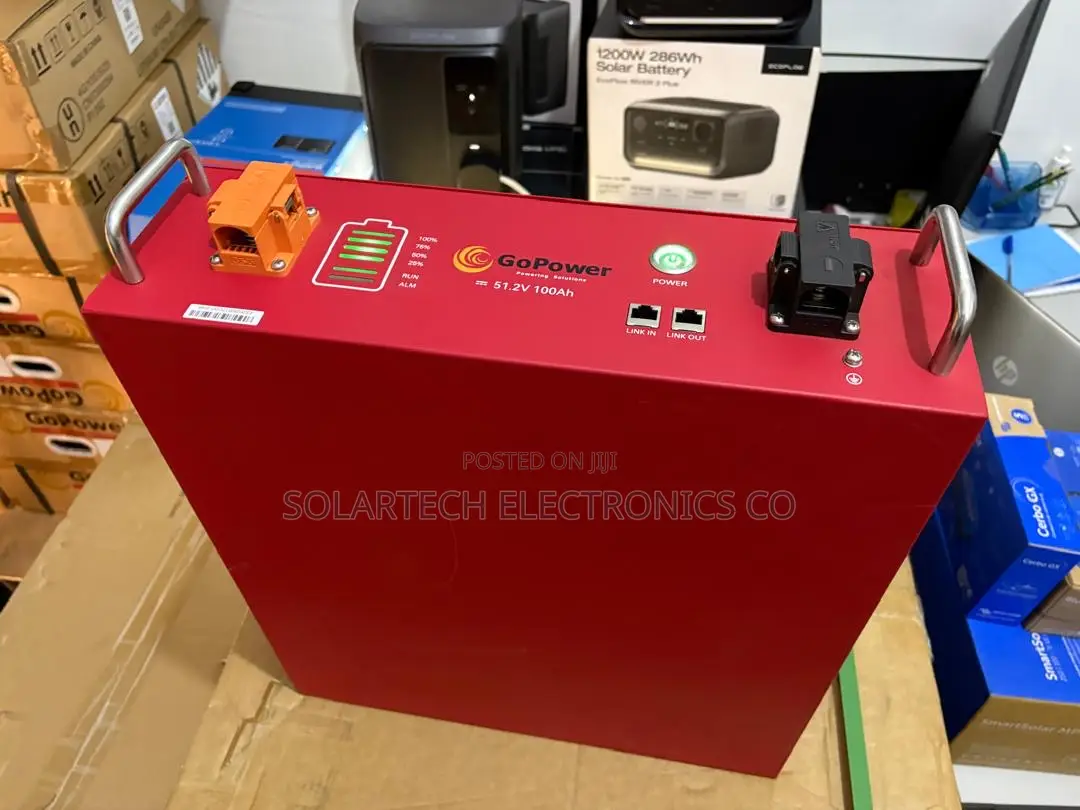 Premium 5kwh 48v Go Power Lifepo4 Battery for Inverters