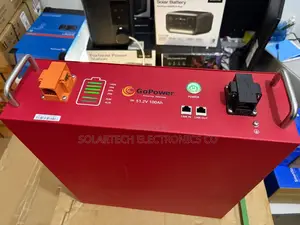 Brand New Original Go Power 48v 5kwh Lithium Battery for Solar