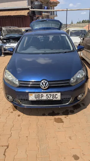 Volkswagen Golf 2008 Blue