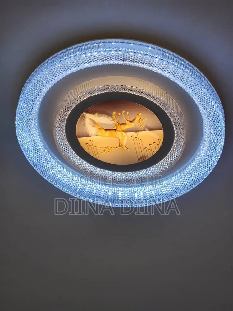 Ceiling Light