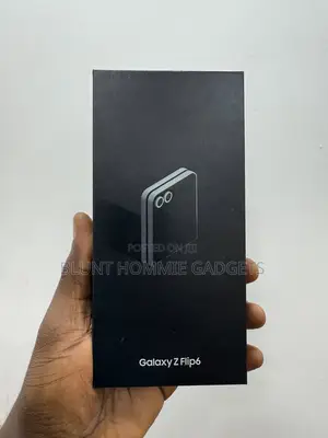 Samsung Galaxy Z Flip6 256 GB Silver
