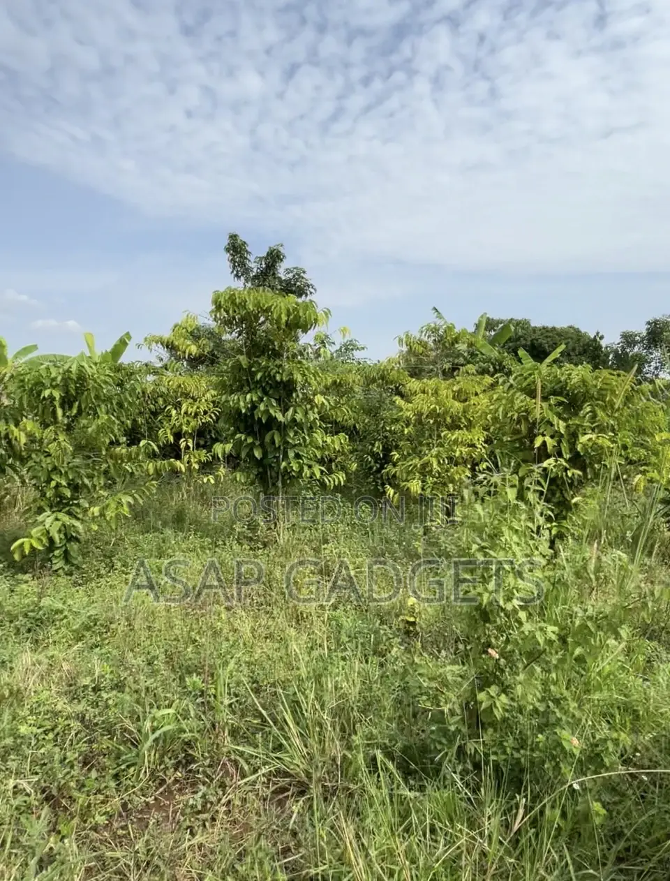 Land for Sale in Busiika Vumba