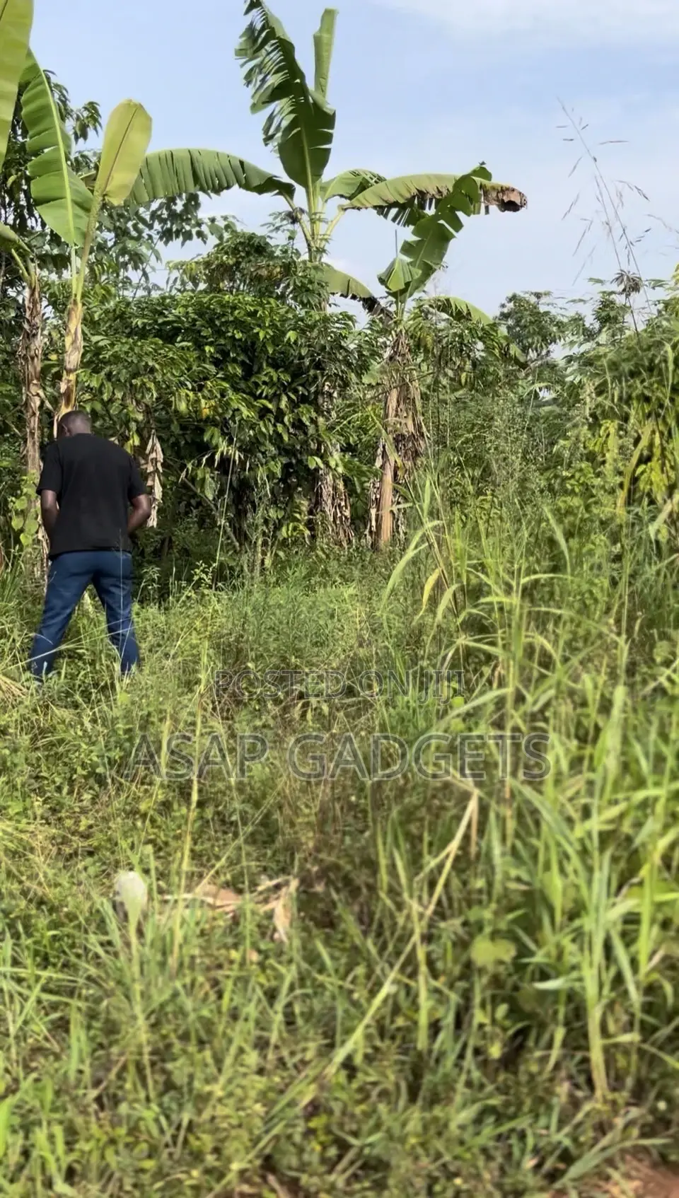 Land for Sale in Busiika Vumba
