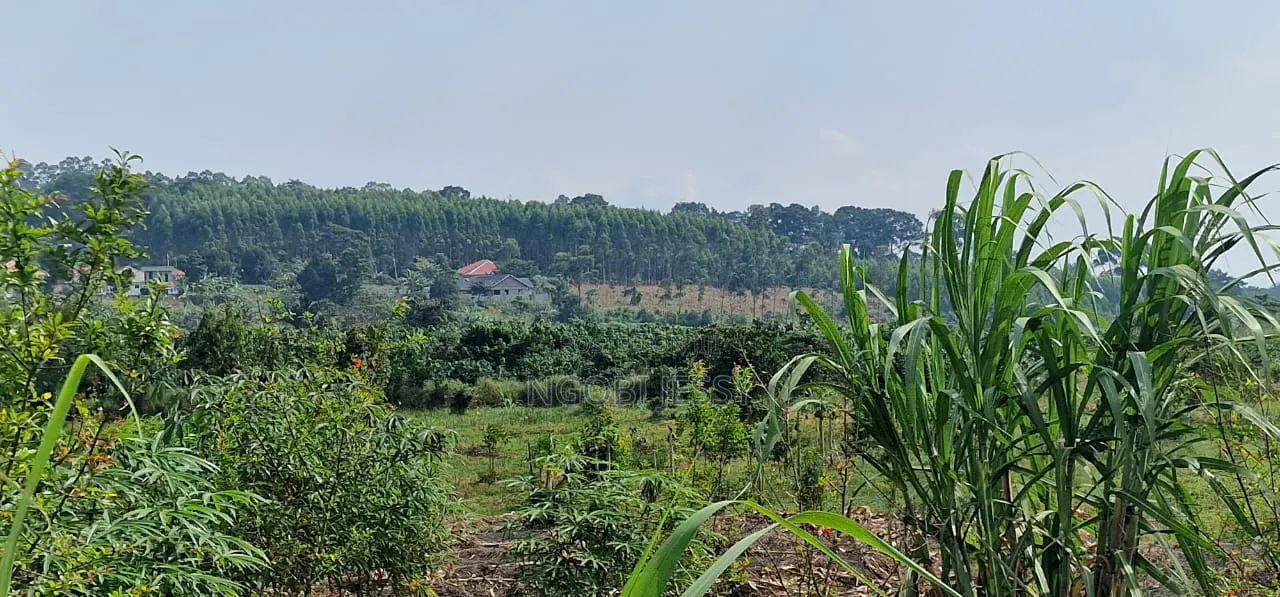 Mukono Industrial 9 Acres of Land for Sale at 200m Each