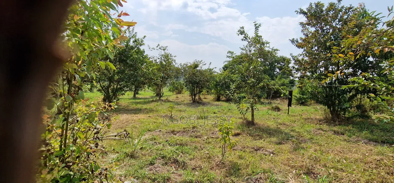 Mukono Industrial 9 Acres of Land for Sale at 200m Each