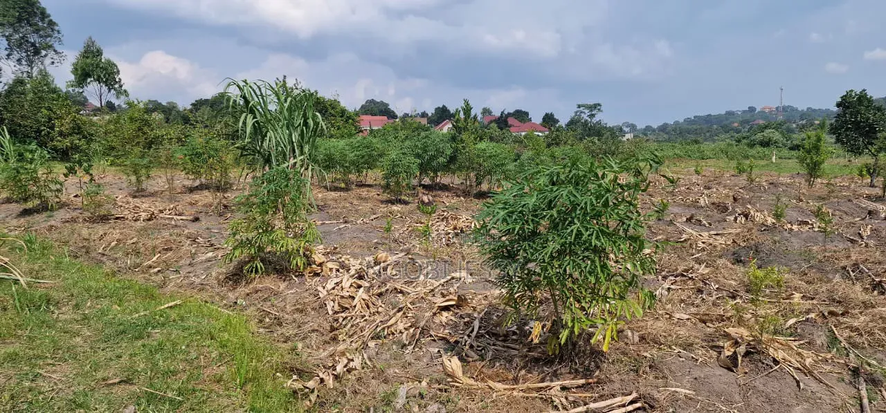Mukono Industrial 9 Acres of Land for Sale at 200m Each