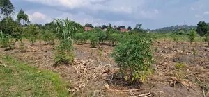 Mukono Industrial 9 Acres of Land for Sale at 200m Each