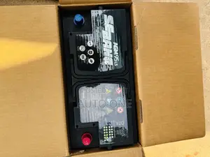 Din100 Agm Sebang Battery