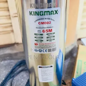 214feet / 65m Submersible Water Pump Kingmax