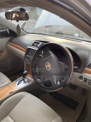 Toyota Premio 2009 Silver