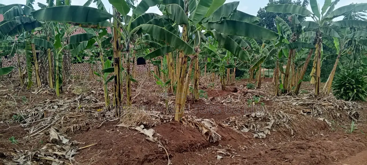 Land for Sale – Ssuka, Kayunga