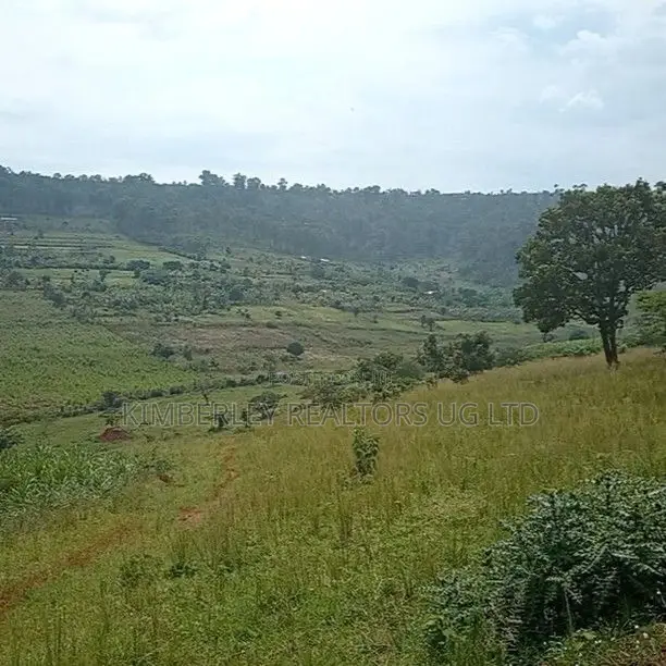 Land for Sale – Ssuka, Kayunga