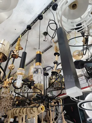 Pointer Pendant Down Light