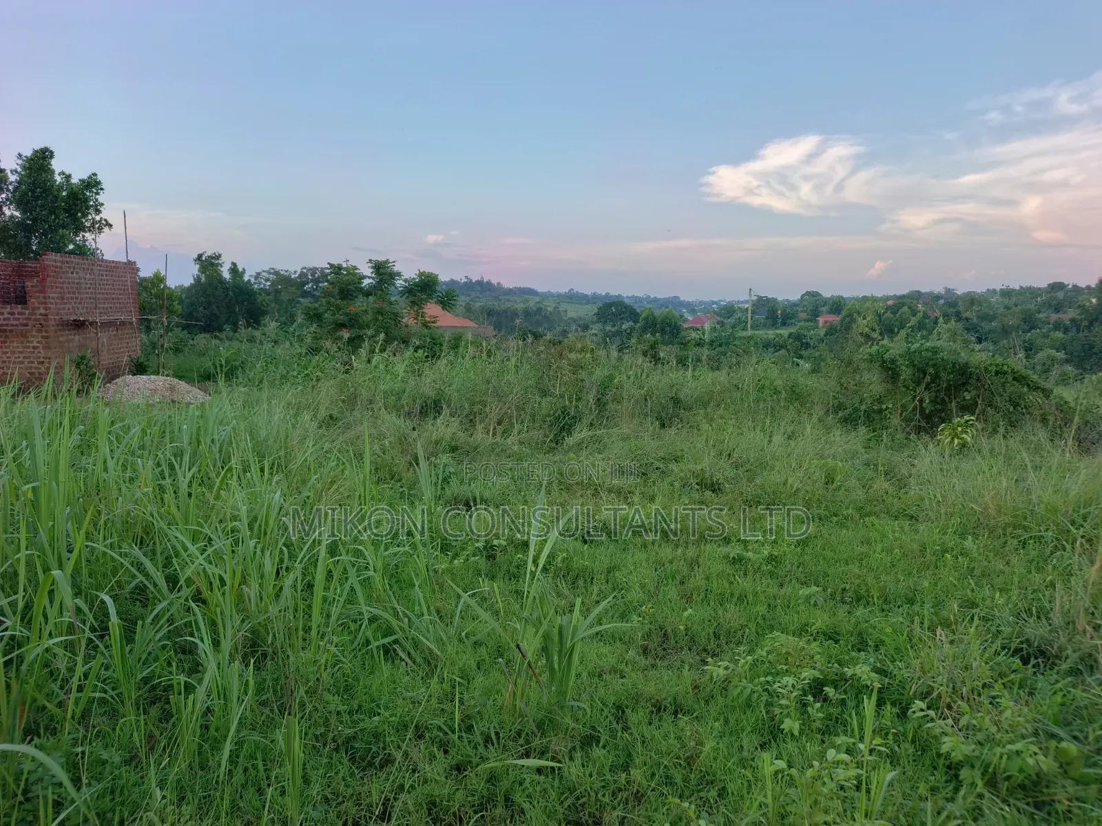 8 Acres of Land in Kikyusa Luwero District at Only 9m Per Acre