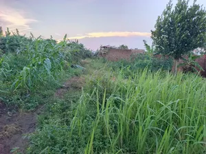 8 Acres of Land in Kikyusa Luwero District at Only 9m Per Acre
