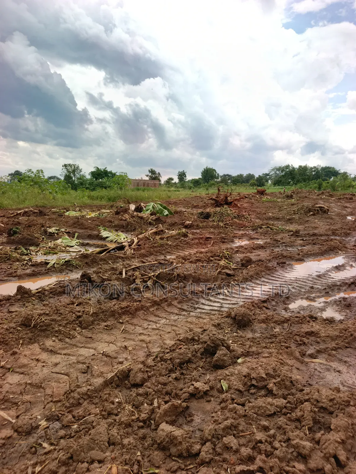 50 by 100 FTS Plots in Matuga Gombe at Only 15m, Titled.