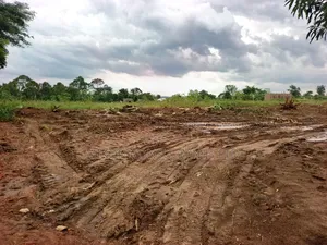 50 by 100 FTS Plots in Matuga Gombe at Only 15m, Titled.