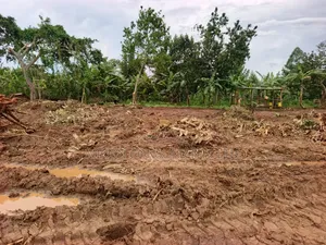 50 by 100 FTS Plots in Matuga Gombe at Only 15m, Titled.