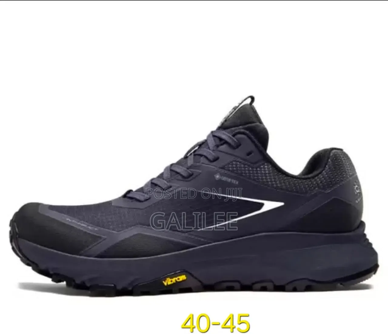Terrex, Gore Tex Adidas Sneakers
