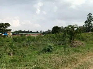 Land for Sale – Nakifuma Kyiwafu