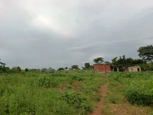 50 Y 100 FTS Plot in Matuga Gombe