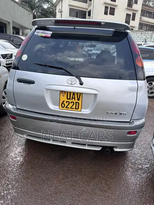 Toyota Raum 1999 Gray