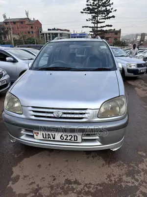 Toyota Raum 1999 Gray
